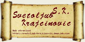 Svetoljub Krajčinović vizit kartica